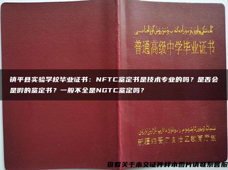 镇平县实验学校毕业证书：NFTC鉴定书是技术专业的吗？是否会是假的鉴定书？一般不全是NGTC鉴定吗？