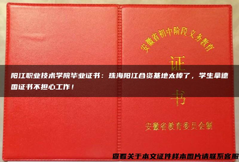 阳江职业技术学院毕业证书：珠海阳江合资基地太棒了，学生拿德国证书不担心工作！