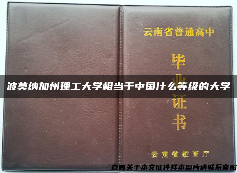 波莫纳加州理工大学相当于中国什么等级的大学