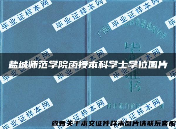 盐城师范学院函授本科学士学位图片