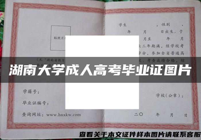 湖南大学成人高考毕业证图片