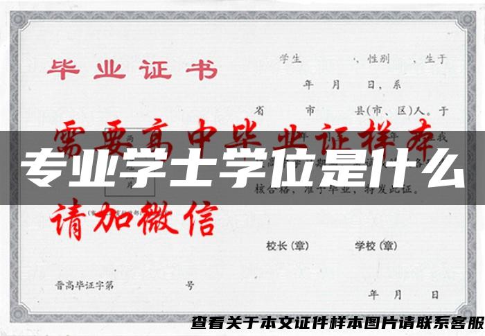 专业学士学位是什么