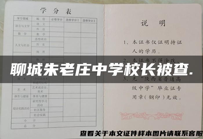 聊城朱老庄中学校长被查.