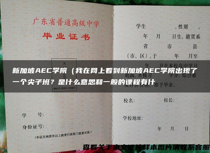 新加坡AEC学院（我在网上看到新加坡AEC学院出现了一个尖子班？是什么意思和一般的课程有什