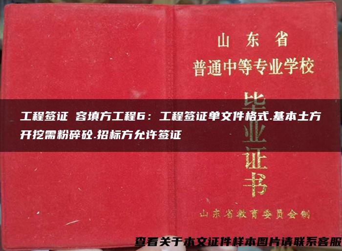 工程签证內容填方工程6：工程签证单文件格式.基本土方开挖需粉碎砼.招标方允许签证