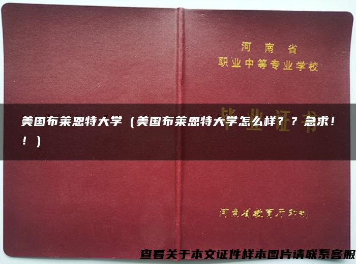 美国布莱恩特大学（美国布莱恩特大学怎么样？？急求！！）