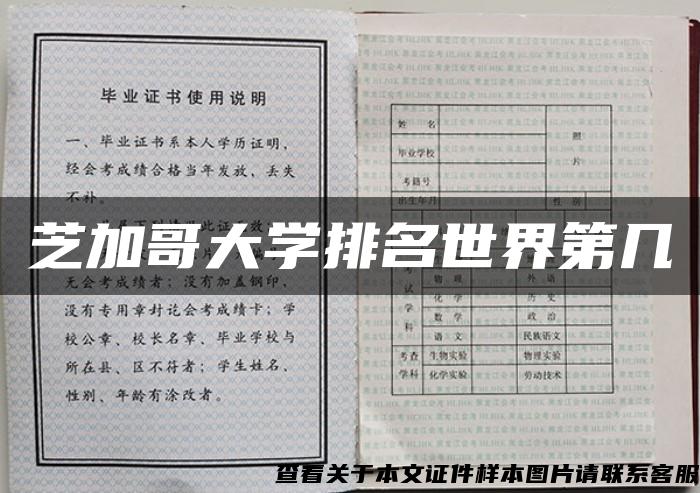 芝加哥大学排名世界第几