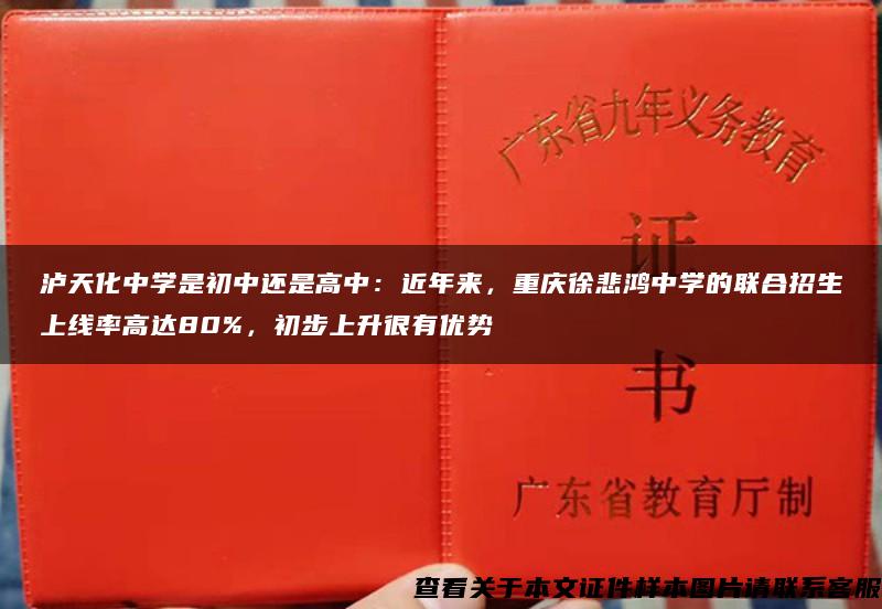 泸天化中学是初中还是高中：近年来，重庆徐悲鸿中学的联合招生上线率高达80%，初步上升很有优势