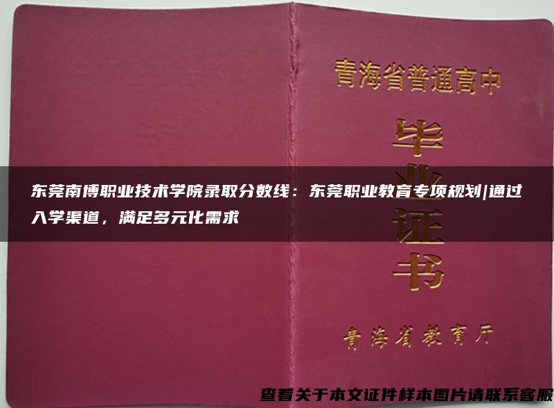 东莞南博职业技术学院录取分数线：东莞职业教育专项规划|通过入学渠道，满足多元化需求