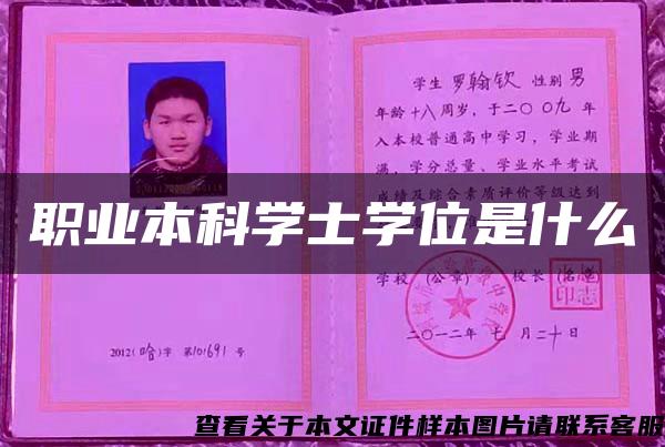 职业本科学士学位是什么