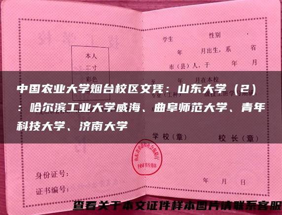 中国农业大学烟台校区文凭：山东大学（2）：哈尔滨工业大学威海、曲阜师范大学、青年科技大学、济南大学