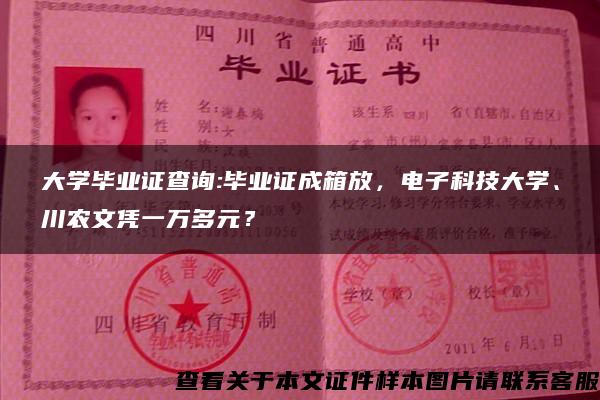 大学毕业证查询:毕业证成箱放，电子科技大学、川农文凭一万多元？