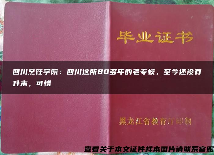 四川烹饪学院：四川这所80多年的老专校，至今还没有升本，可惜