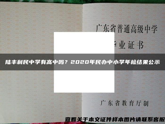 陆丰利民中学有高中吗？2020年民办中小学年检结果公示