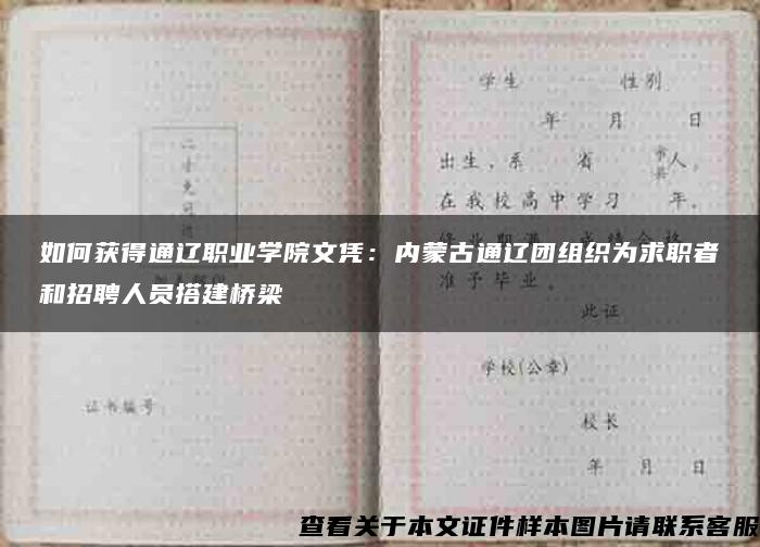 如何获得通辽职业学院文凭：内蒙古通辽团组织为求职者和招聘人员搭建桥梁