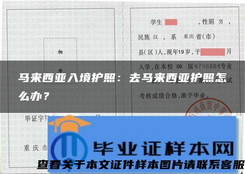 马来西亚入境护照：去马来西亚护照怎么办？