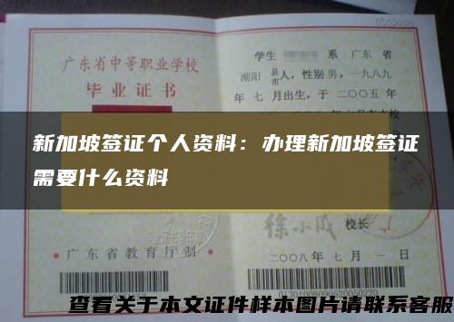 新加坡签证个人资料：办理新加坡签证需要什么资料