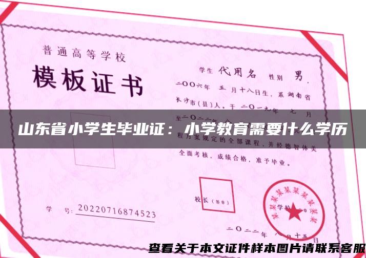 山东省小学生毕业证：小学教育需要什么学历