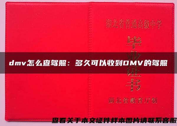 dmv怎么查驾照：多久可以收到DMV的驾照