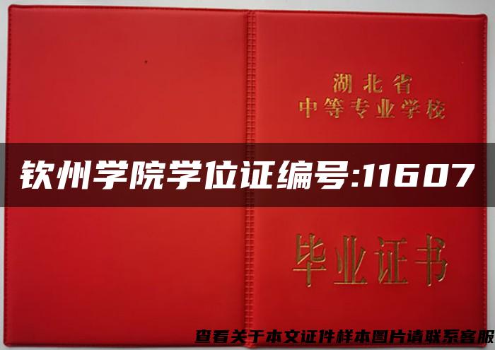 钦州学院学位证编号:11607