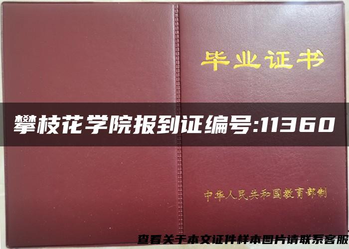 攀枝花学院报到证编号:11360