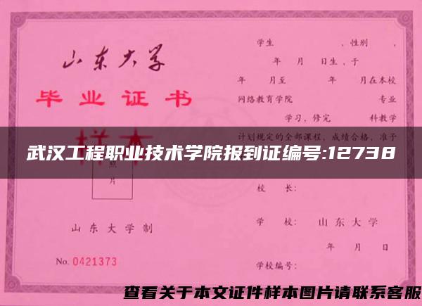 武汉工程职业技术学院报到证编号:12738