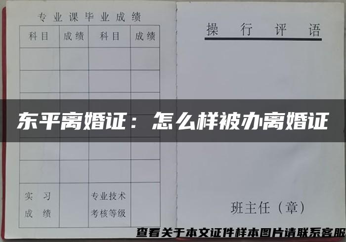 东平离婚证：怎么样被办离婚证