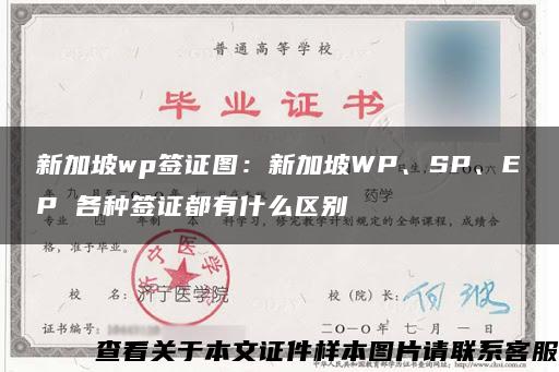 新加坡wp签证图：新加坡WP、SP、EP 各种签证都有什么区别