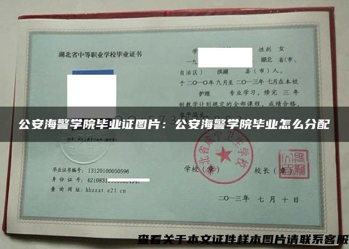 公安海警学院毕业证图片：公安海警学院毕业怎么分配