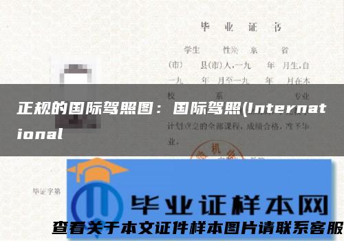 正规的国际驾照图：国际驾照(International