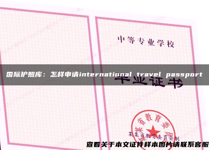 国际护照库：怎样申请international travel passport