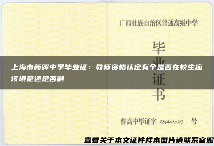 上海市新晖中学毕业证：教师资格认定有个是否在校生应该填是还是否啊