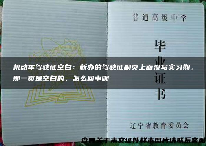 机动车驾驶证空白：新办的驾驶证副页上面没写实习期，那一页是空白的，怎么回事呢