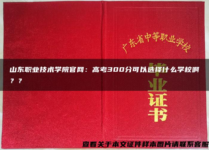 山东职业技术学院官网：高考300分可以选择什么学校啊？？