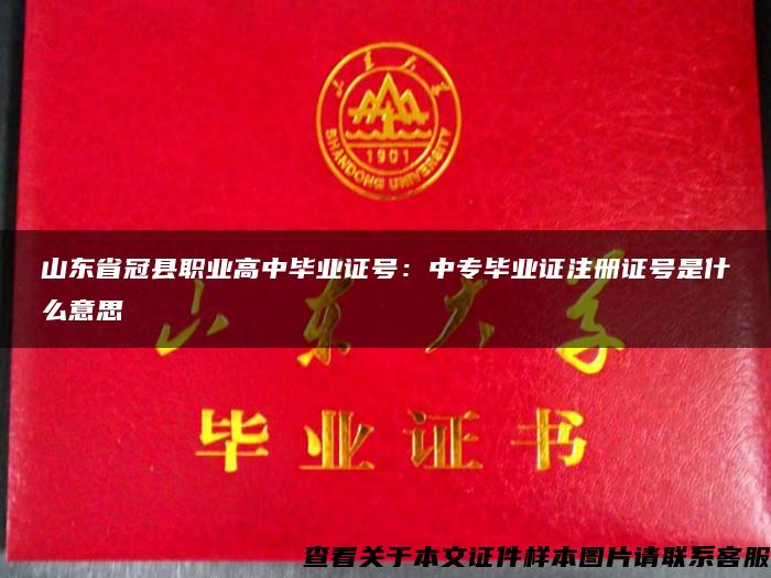 山东省冠县职业高中毕业证号：中专毕业证注册证号是什么意思