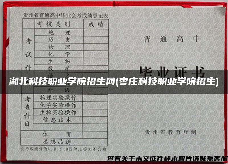 湖北科技职业学院招生网(枣庄科技职业学院招生)