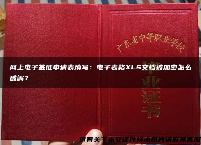 网上电子签证申请表填写：电子表格XLS文档被加密怎么破解？