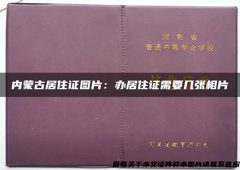 内蒙古居住证图片：办居住证需要几张相片