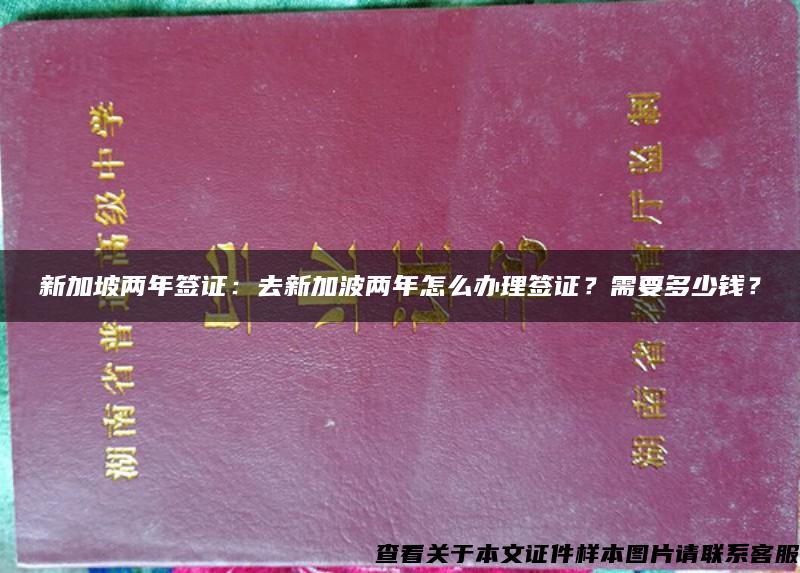 新加坡两年签证：去新加波两年怎么办理签证？需要多少钱？