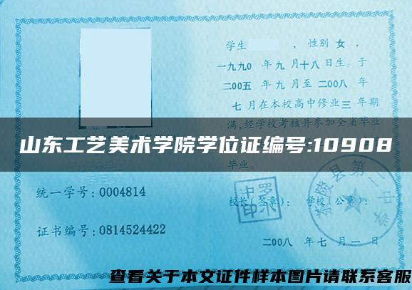 山东工艺美术学院学位证编号:10908