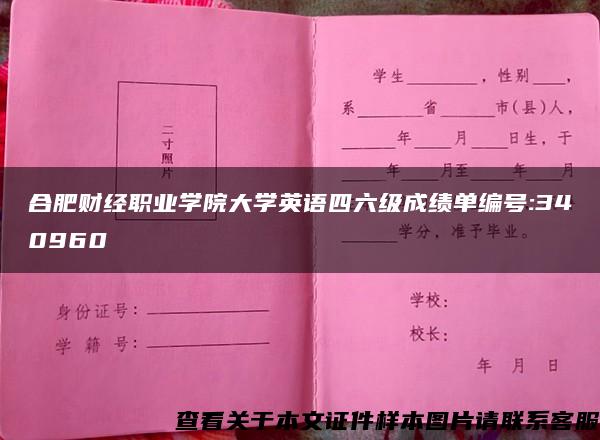 合肥财经职业学院大学英语四六级成绩单编号:340960