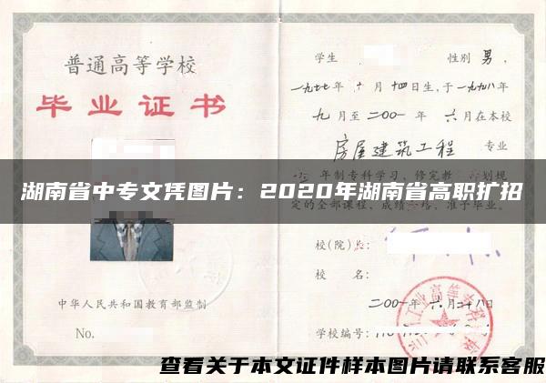 湖南省中专文凭图片：2020年湖南省高职扩招