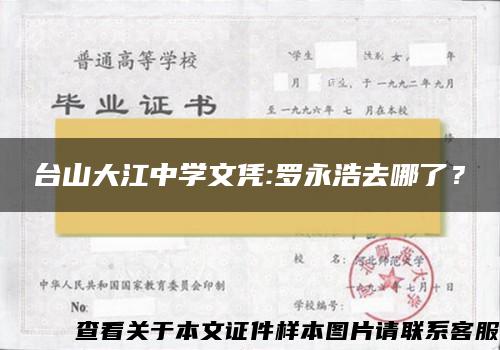 台山大江中学文凭:罗永浩去哪了？