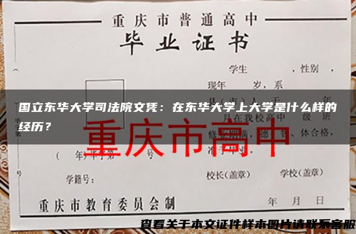 国立东华大学司法院文凭：在东华大学上大学是什么样的经历？