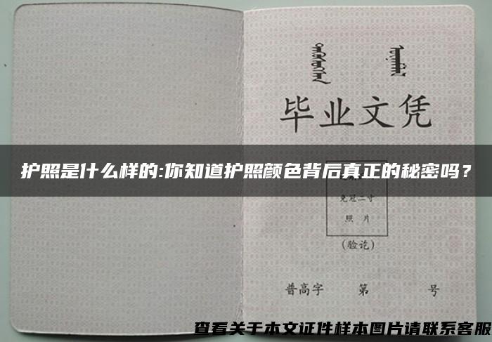 护照是什么样的:你知道护照颜色背后真正的秘密吗？