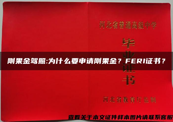 刚果金驾照:为什么要申请刚果金？FERI证书？