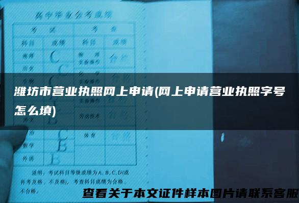 潍坊市营业执照网上申请(网上申请营业执照字号怎么填)