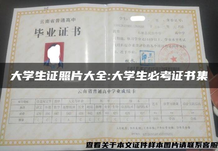 大学生证照片大全:大学生必考证书集