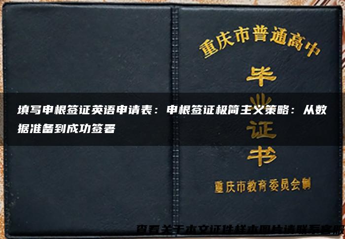 填写申根签证英语申请表：申根签证极简主义策略：从数据准备到成功签署