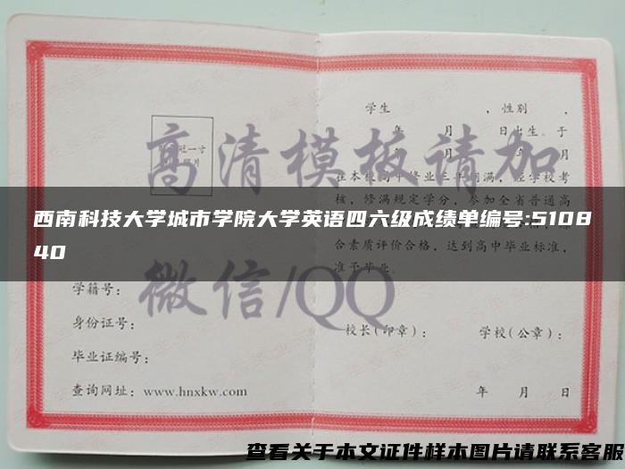 西南科技大学城市学院大学英语四六级成绩单编号:510840